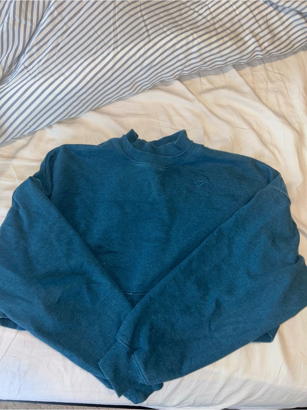 Women's gymshark Teal Crewneck Sweater